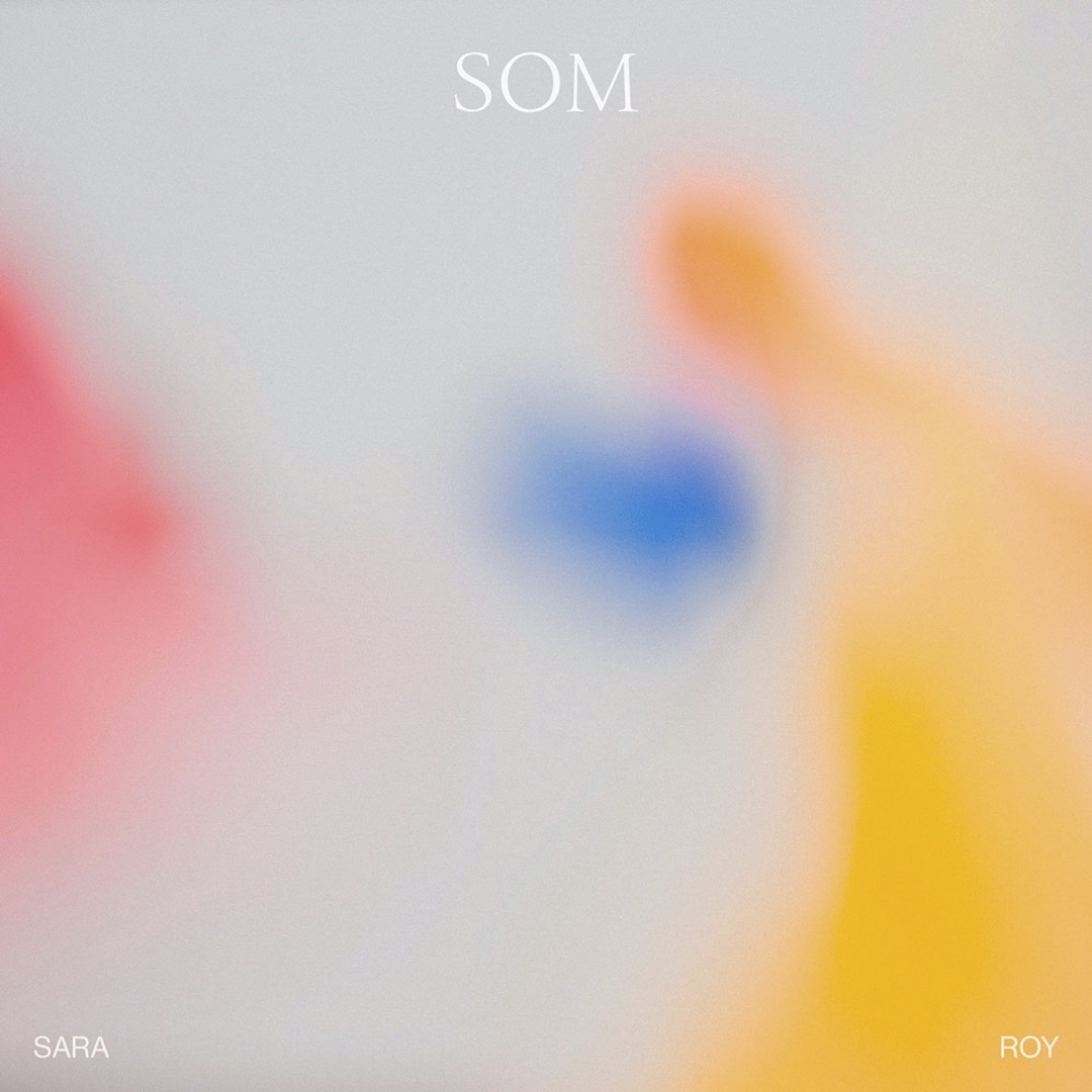 SARA ROY | Som